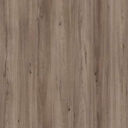 Amorim Wise Quartz Oak