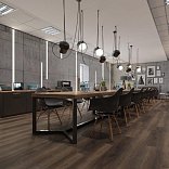 Кварц виниловый ламинат Alpine Floor Easy Line LVT ECO 3-43 Дуб Левитан

3 мм - 1