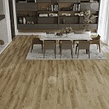 Кварц виниловый ламинат Alpine Floor Premium 12 ECO 24-5 Дуб Серена

12 мм - 2