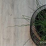 Кварц виниловый ламинат Vinilam VinilPol SPC click 7897 -EIR Дуб Неаполь - 6