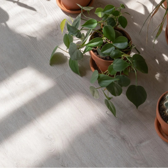 Кварц виниловый ламинат Vinilam Click 20468 -EIR Дуб Ален
- фото 1