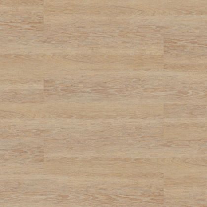 Amorim Wise Contempo Rust
