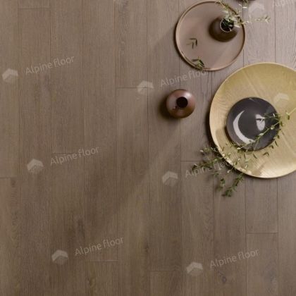 Homflor Patio560 Olbia Oak