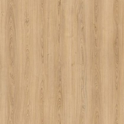 Amorim Wise Royal Oak