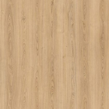 Amorim Wise Royal Oak