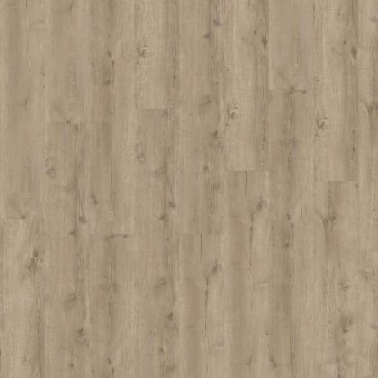 Adelar 400087743 Major Oak 05829