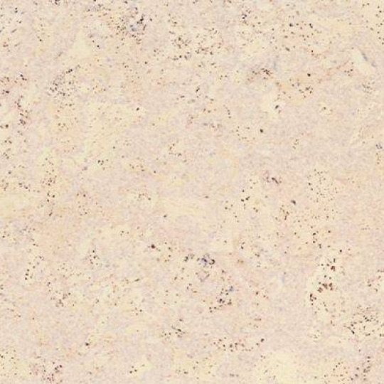 Пробковый пол Corkstyle EcoCork Madeira White - фото 2