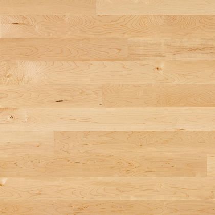 Bauwerk Клён канадский