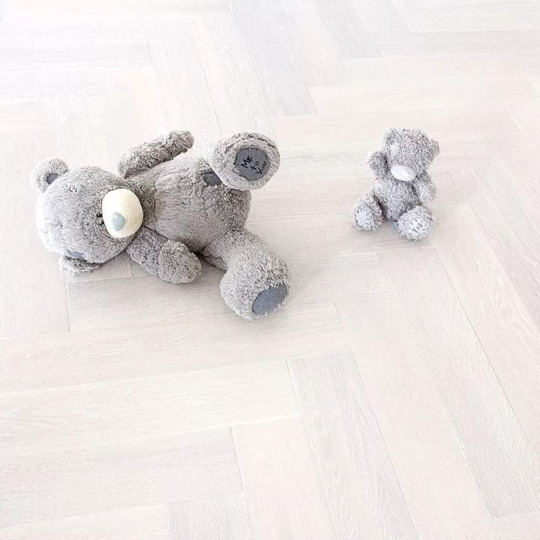 Паркет ёлка Marco Ferutti Hermitage Hermitage Дуб Арктик - фото 2