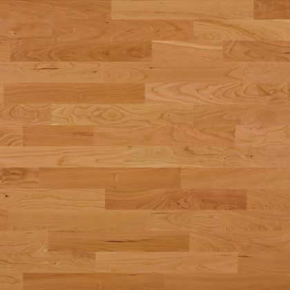 Bauwerk Вишня American Натур