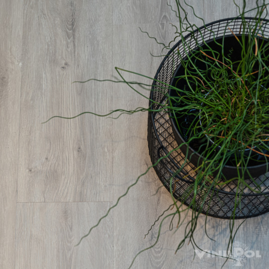 Кварц виниловый ламинат Vinilam ВИНИЛПОЛ Glue 7897 -EIR Дуб Неаполь клеевой
- фото 7