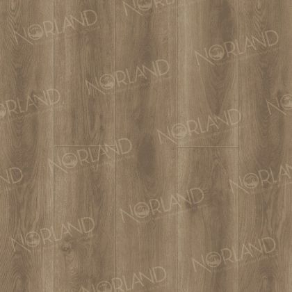 Norland Tista 2001-8