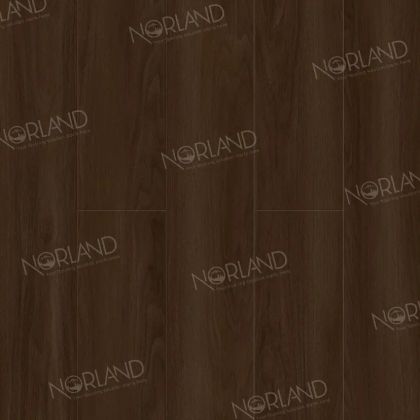 Norland Elegant StrongДуб Треско LF302-22