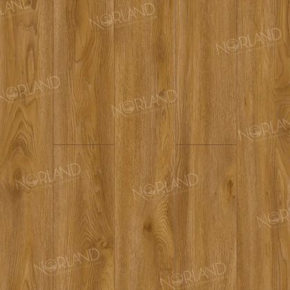 Norland Elegant StrongДуб Хонсю LF302-10