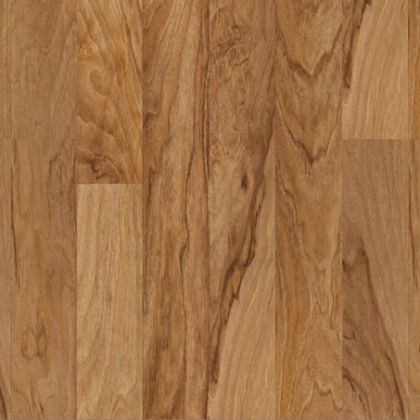 Tarkett Robinson FamilyNew World Walnut / Mолодой орех