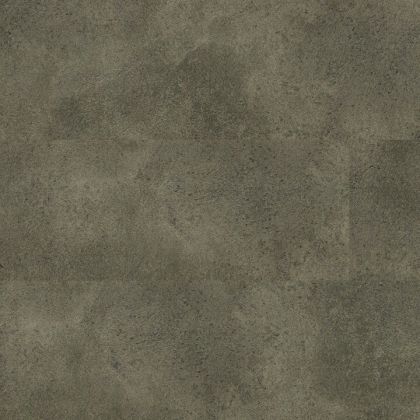Alloc Original04579 Дуб Гималаи